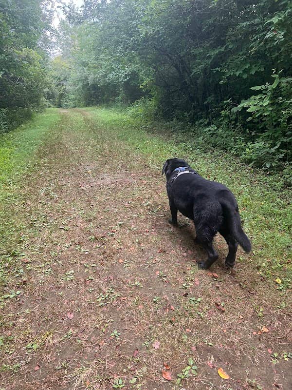 Cherokee Trail Head - Image 1