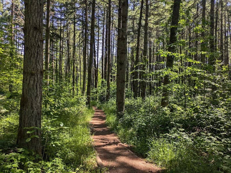 Intensive Management Trailhead - Image 1