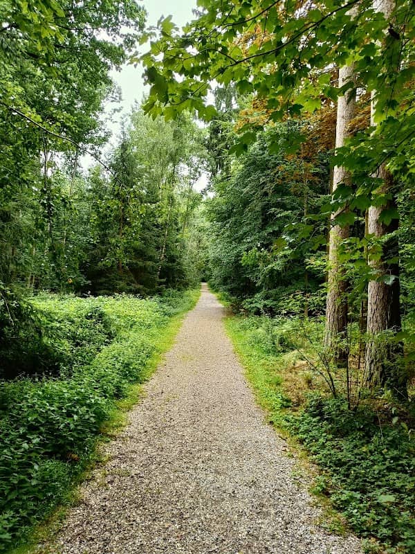 Bürgerwald Eggenfelden - Image 1