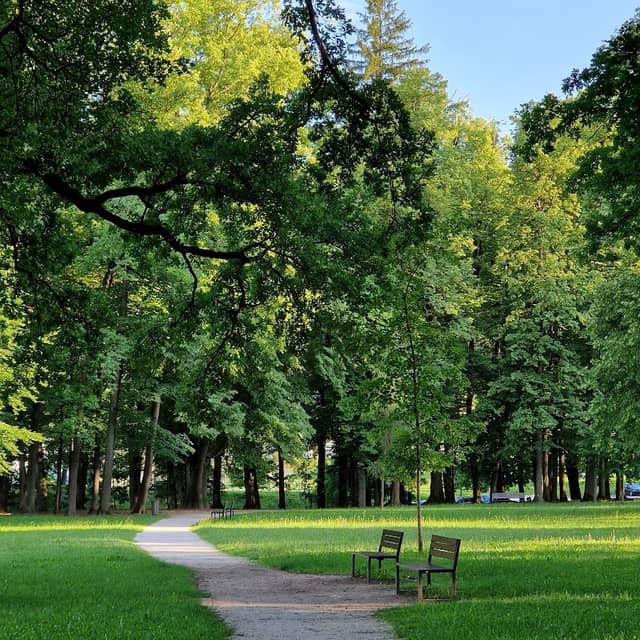 Grajski Park Ravne - Image 1