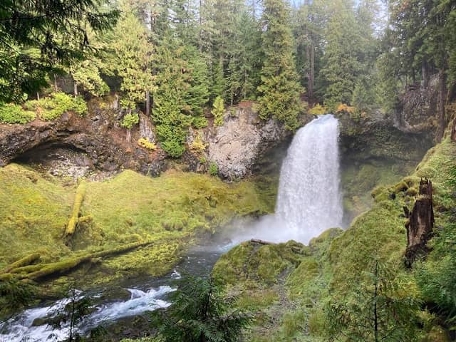 Umbrella/Sahalie Falls Trailhead - Image 1