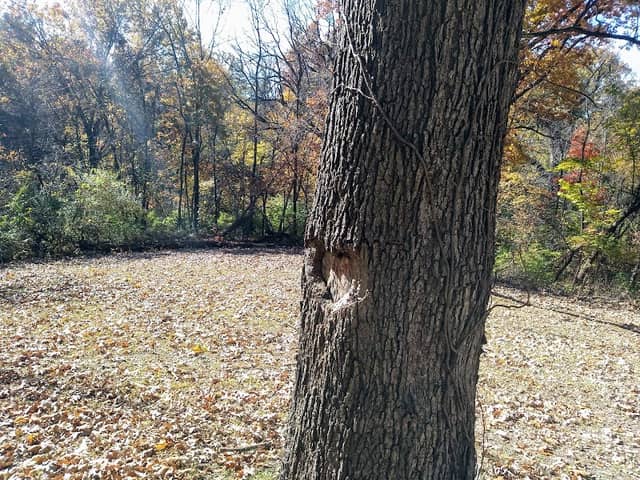 Leavenworth VA Park Trails - Image 3