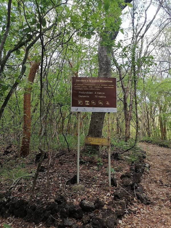 Campo volcanico San diego - Image 1