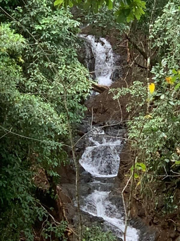 Cascadas Gracie Falls - Image 1
