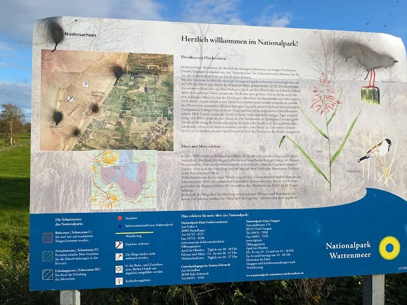 Schwimmendes Moor - Image 1