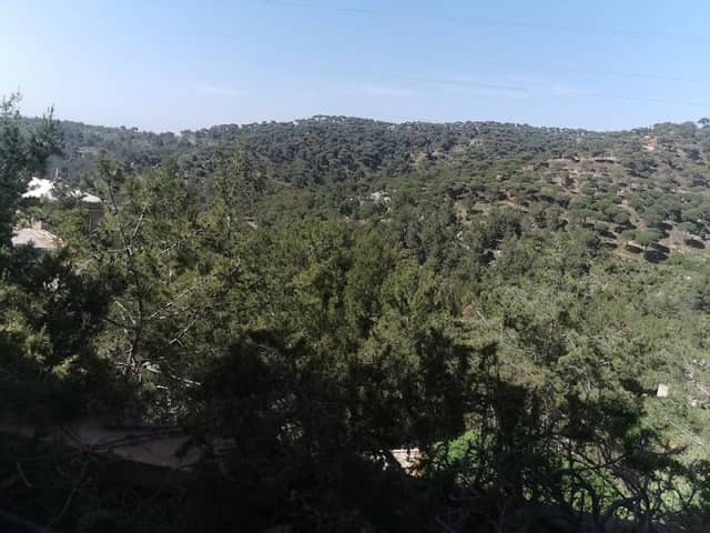 Jezzine shallal - Image 2