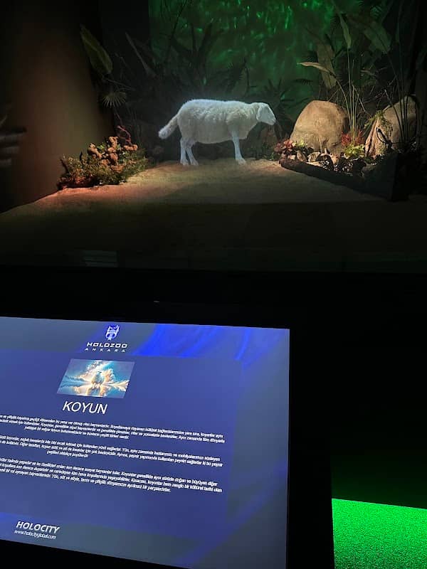 Digital Hayvanat Bahçesi Araç Girişi - Image 2