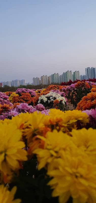 광주 북구 드론 공원 - Image 1