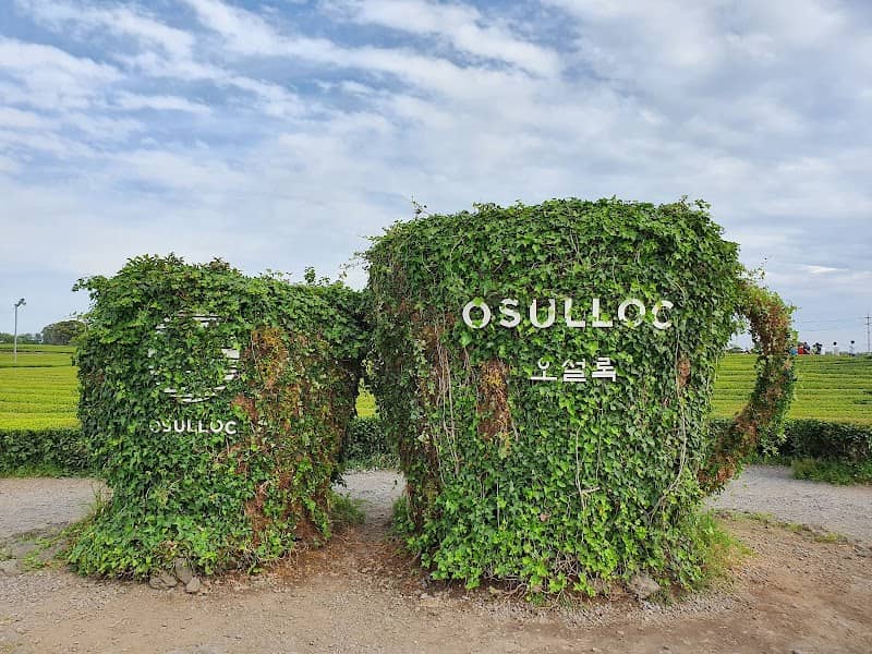 Osulloc Tea Museum - Image 1