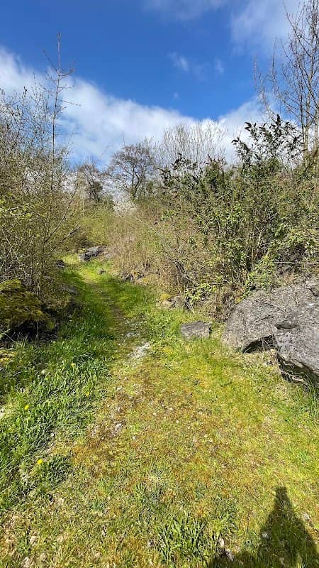 Felsengarten - Image 2