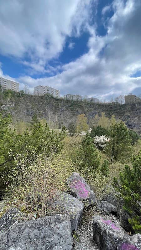 Felsengarten - Image 3