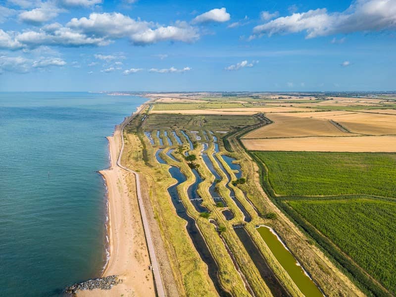 Reculver Beach - Image 2