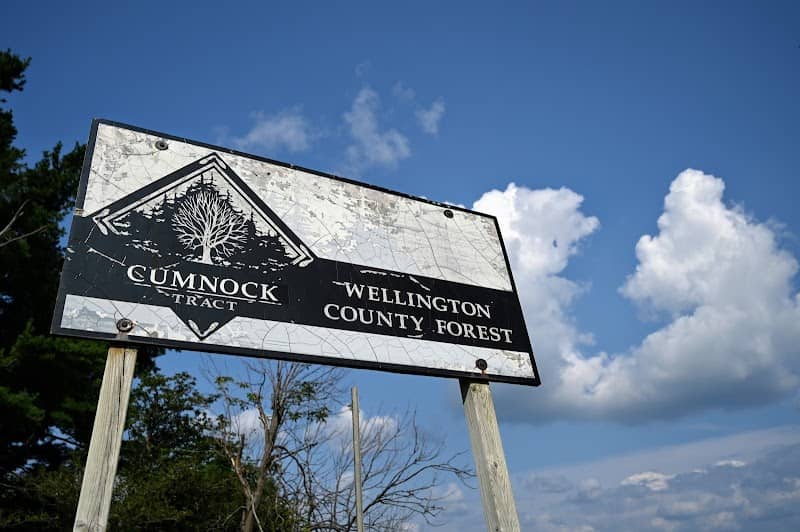 Cumnock Tract East - Image 1