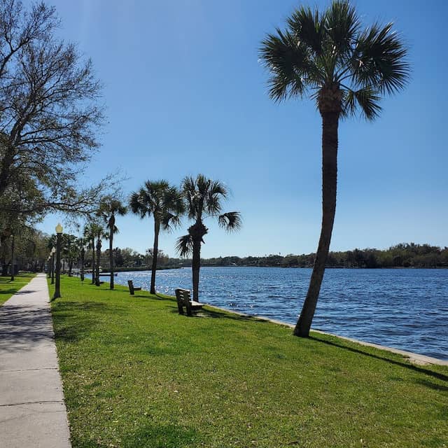Craig Park - Image 2
