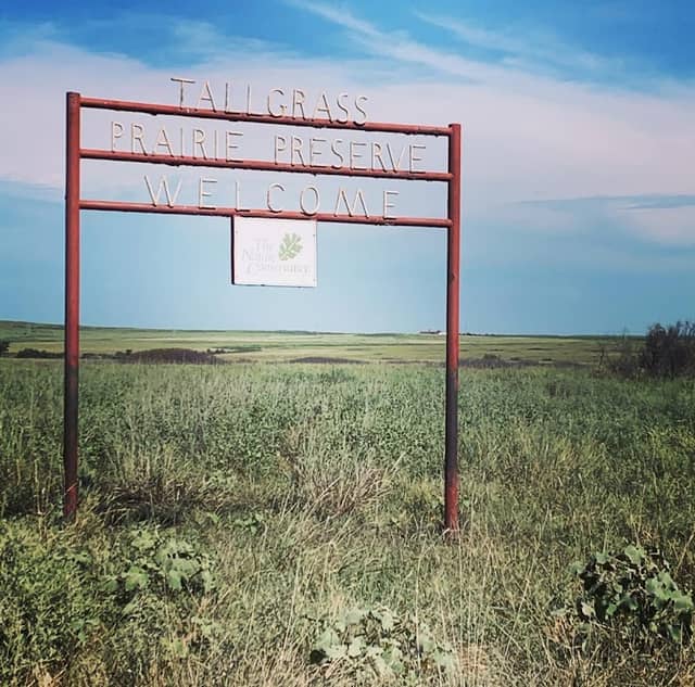 Tall Grass Prairie preserve - Image 3