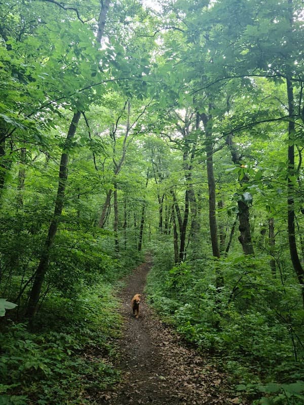 Maplewood Park - Image 2