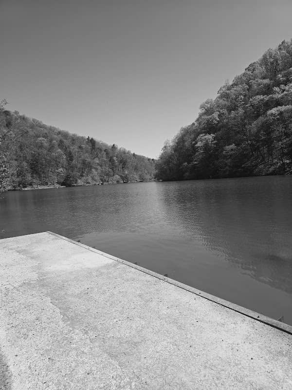 Edge of trail - Image 2