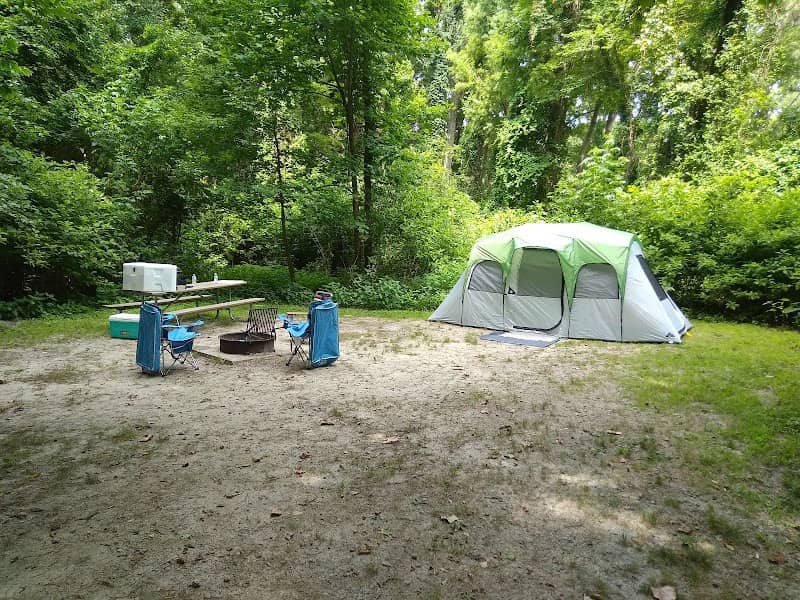 Pettigrew State Park Campground - Image 1
