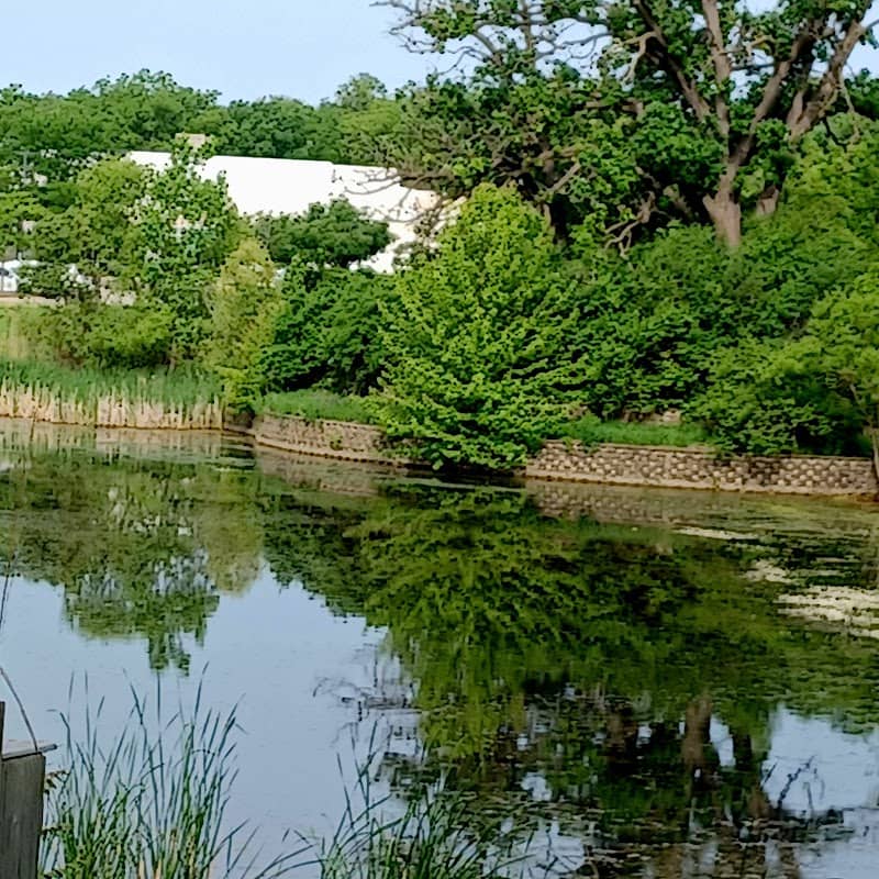 O'Brien Woods - Image 2