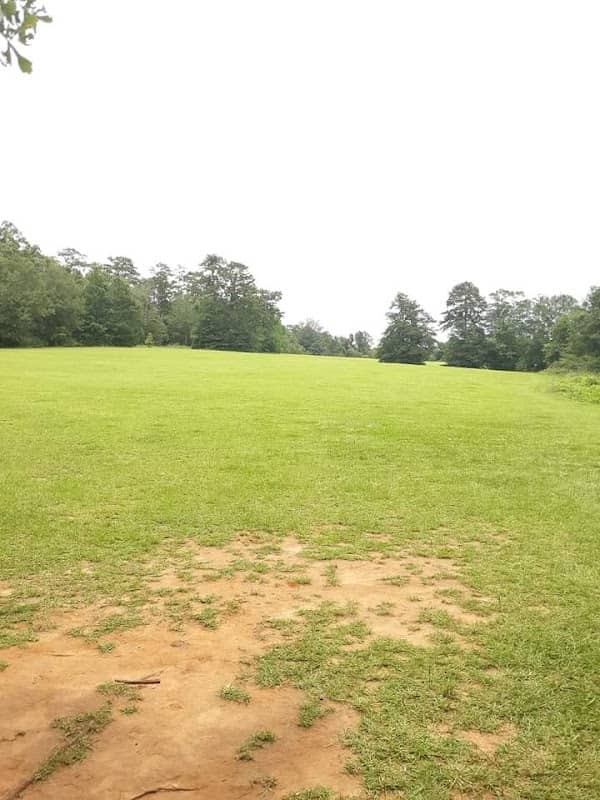 Governor's Park - Image 2