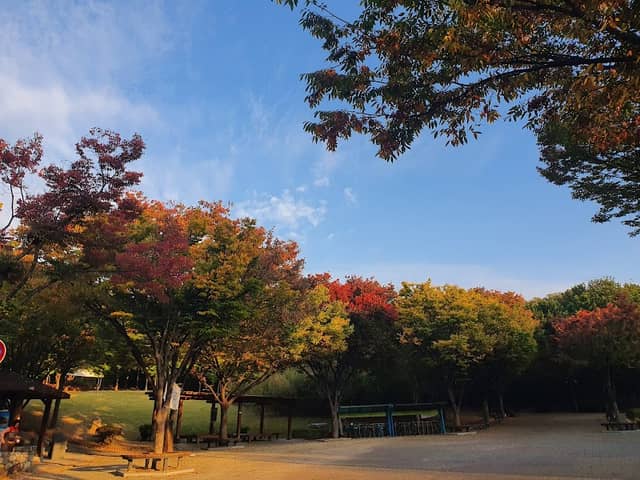 상리공원 - Image 1