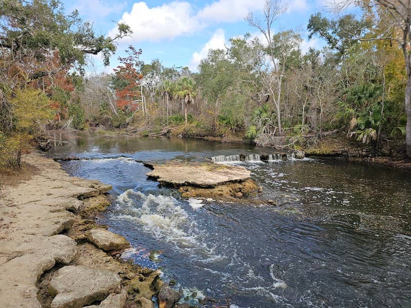 Steinhatchee Falls - Image 2