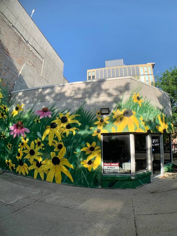 Ouizi Mural (A2AC Murals) - Image 2