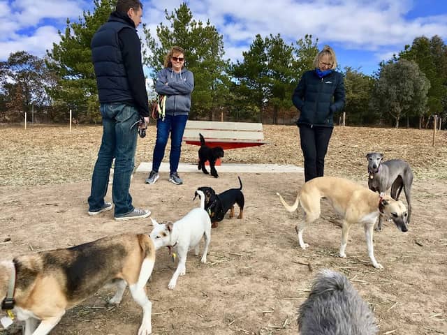 Harbor Club Dog Park - Image 1