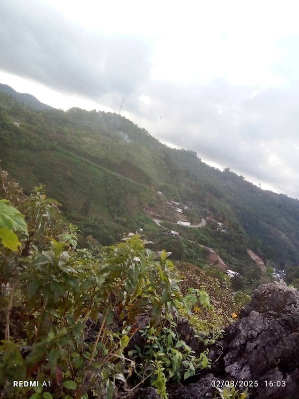 SANTO TOMAS 2 - Image 1