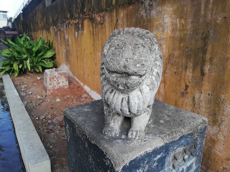 The Smiling Lion - Image 1