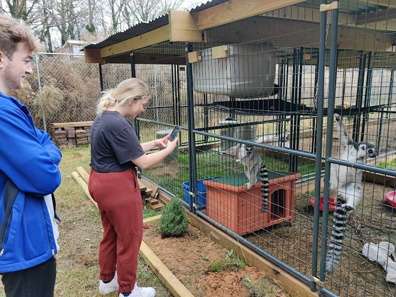 Hand Me Down Zoo - Image 1