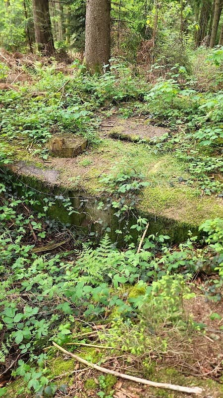 Bunker im Aachener Wald - Image 1