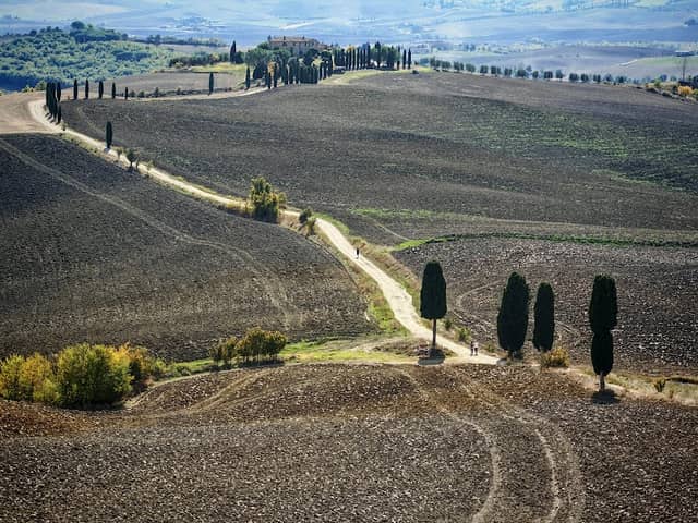 View point Gladiator - Image 1