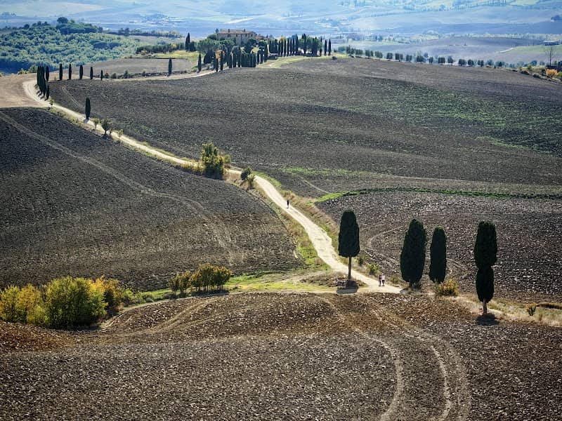 View point Gladiator - Image 1