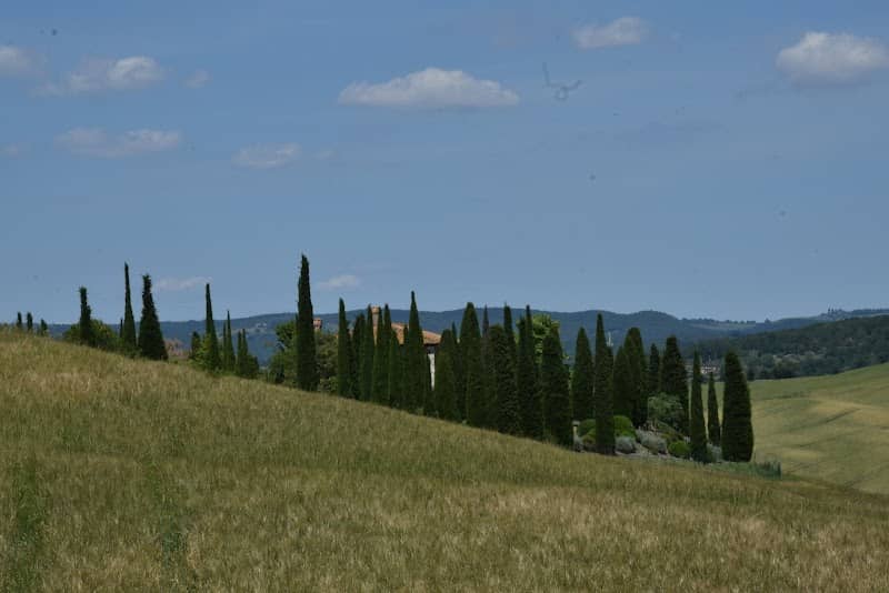 View point Gladiator - Image 3
