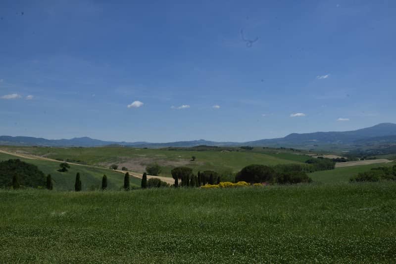 View point Gladiator - Image 2