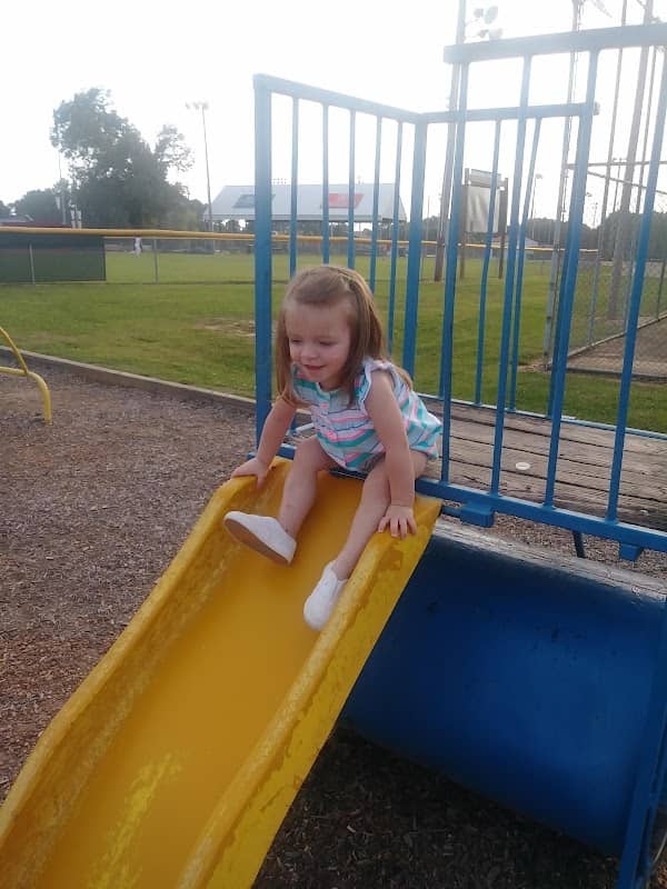 Guy B Amis City Park - Image 1