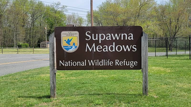 Supawna Meadows National Wildlife Refuge - Image 1