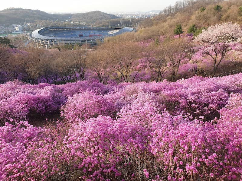 부천원미공원 - Image 1