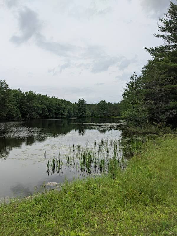 Spaulding Pond Park - Image 1