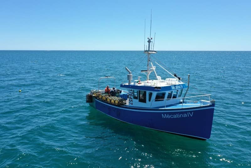 Interprétation de pêche en mer - Image 2