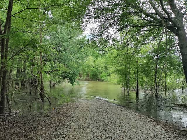 Cedar Grove Wildlife Management Area - Image 1