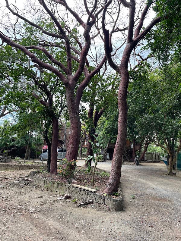 West end - Image 1