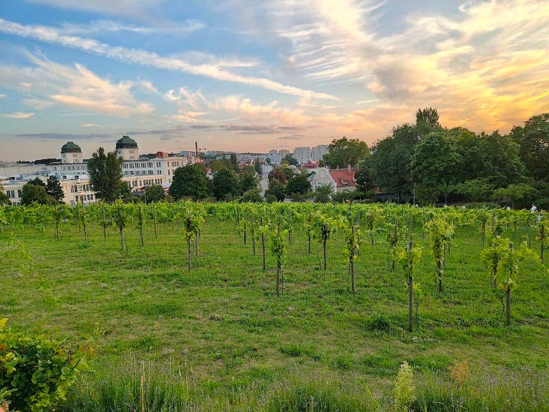 Napis - Zielona Góra - Image 2
