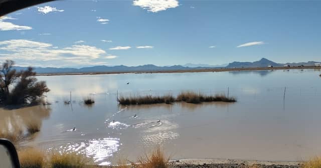 South Alkali Flats Duckpond - Image 2