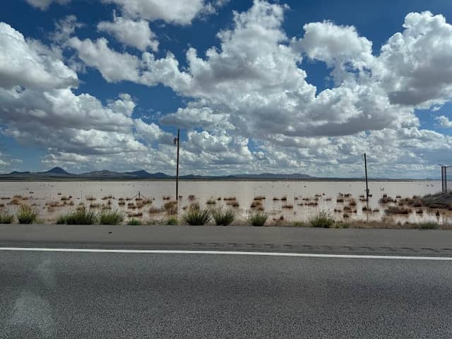 South Alkali Flats Duckpond - Image 3