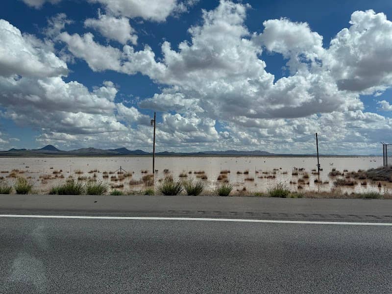 South Alkali Flats Duckpond - Image 2