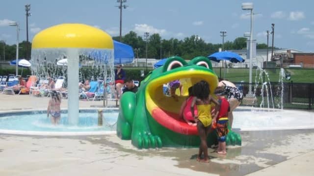 Larry Weeks Community Pool - Image 3