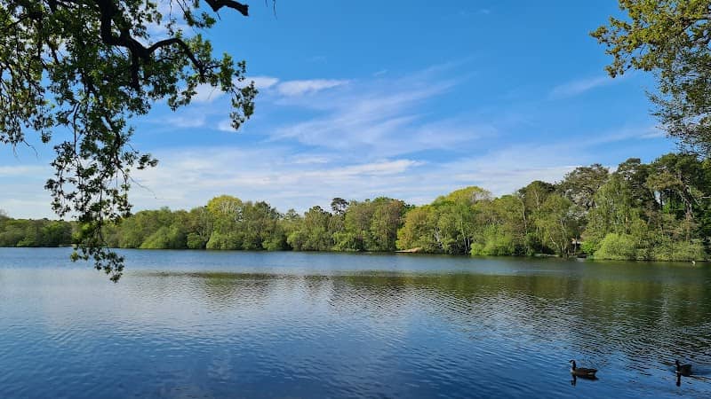 South Lake - Image 1