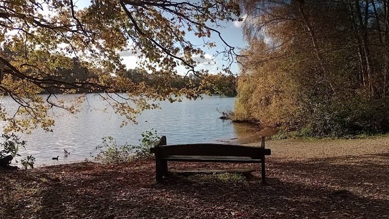 South Lake - Image 2